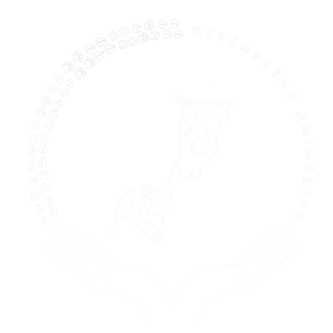 Logo Emma Bastos Blanc
