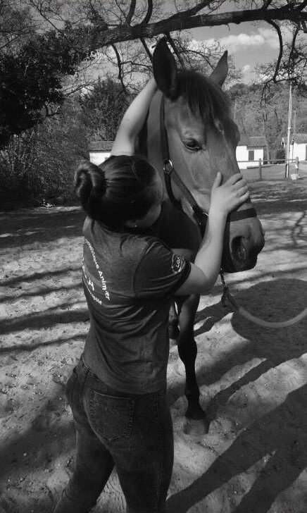 Emma Bastos manipulant la tête d'un cheval