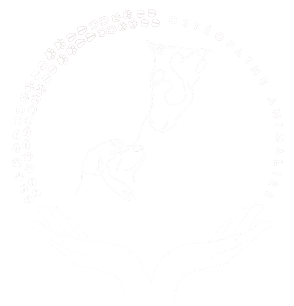 Logo Blanc avec prénom