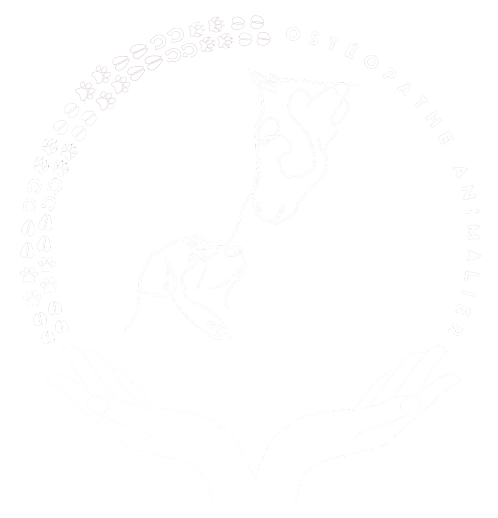 Logo Blanc avec prénom