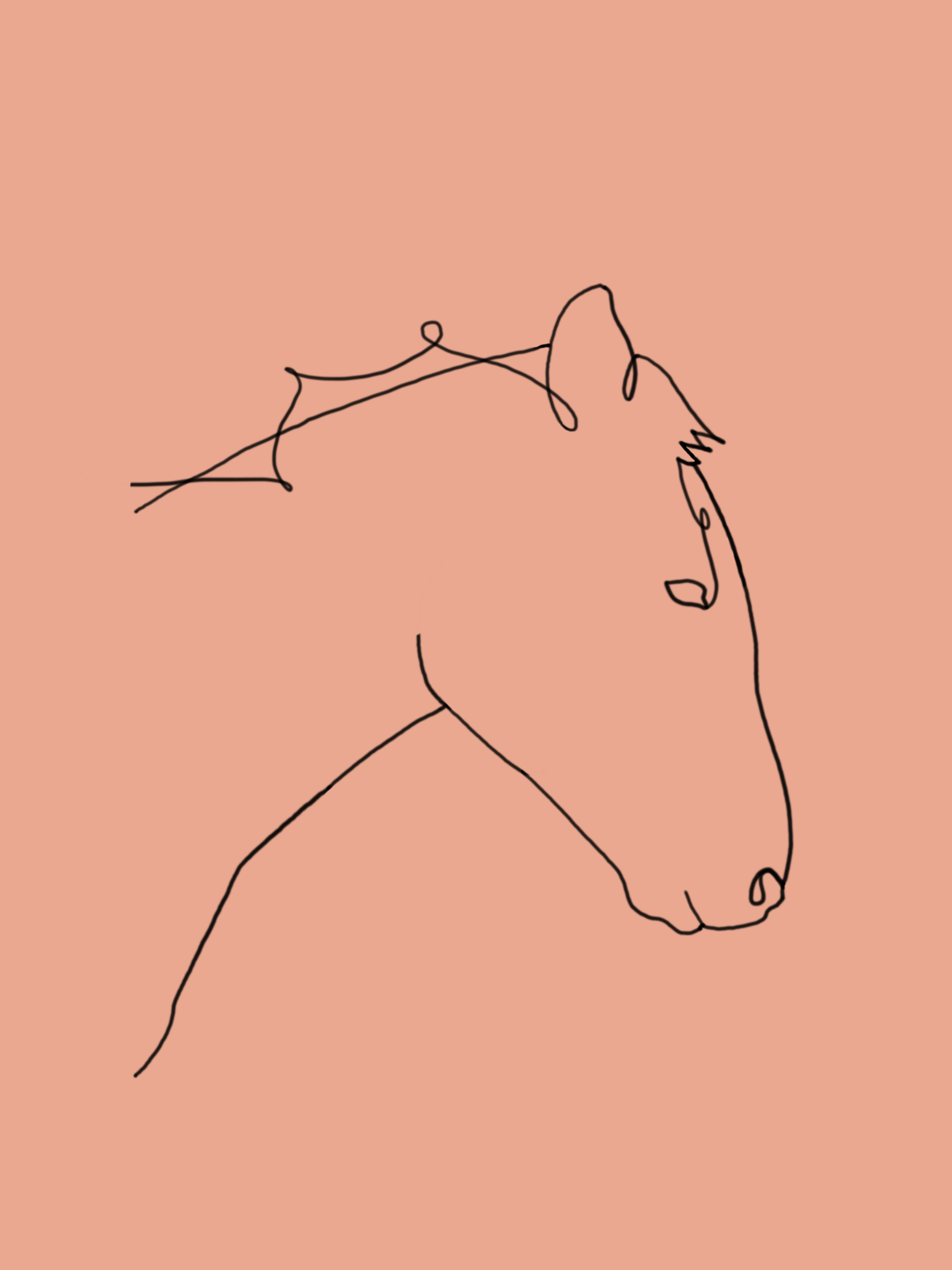 Logo Cheval