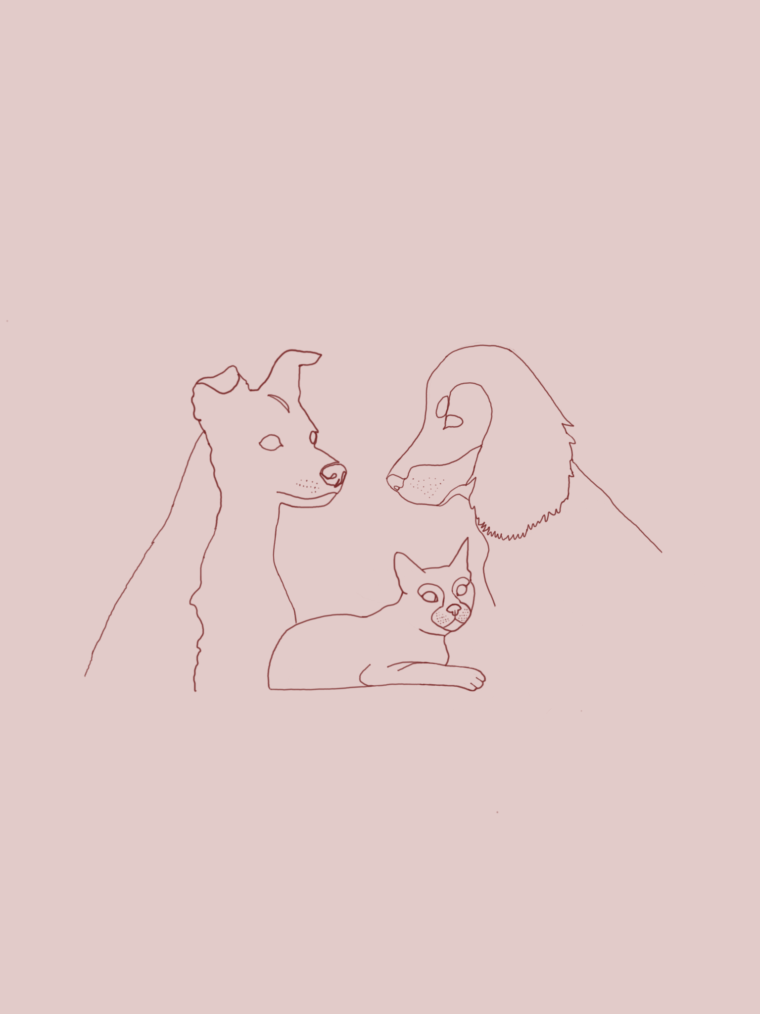 Logo Chiens et Chats